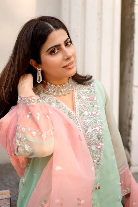 3PC - Embroidered Organza Suit
